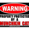 catsrule23111